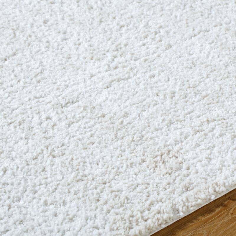 Livabliss Bohemian & Eclectic Sacramento Shag Ombre Area Rug