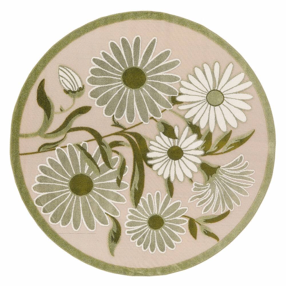 Nourison Alice Indoor/Outdoor Floral Area Rug.