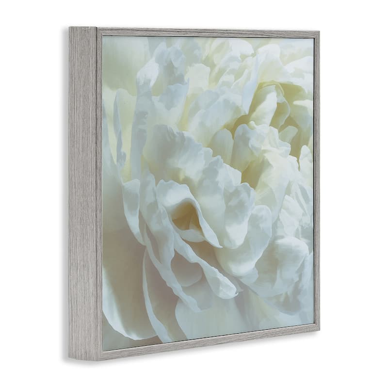 Stupell Elegant White Petals Framed Giclee Art Design By David Pollard