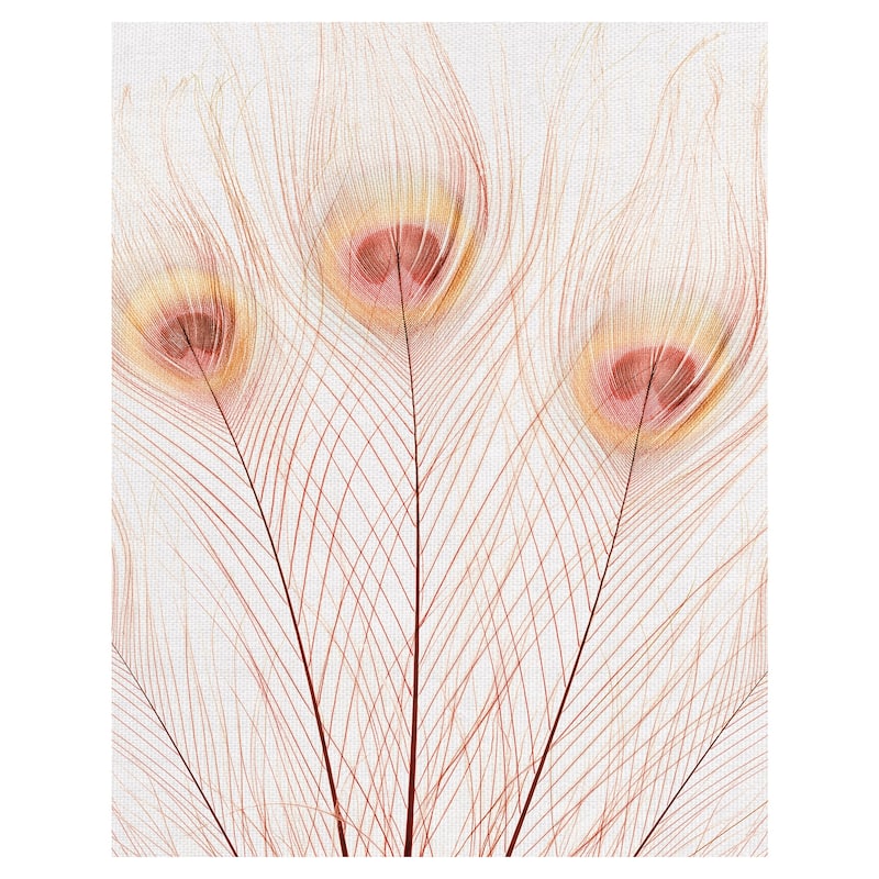 Peach Peacock by Belle Maison Canvas Art Print
