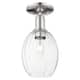 Option Clear Shade / Polished Nickel