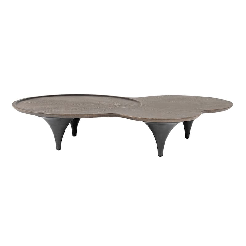 Modrest Beulah Modern Free Form Dark Ash Coffee Table
