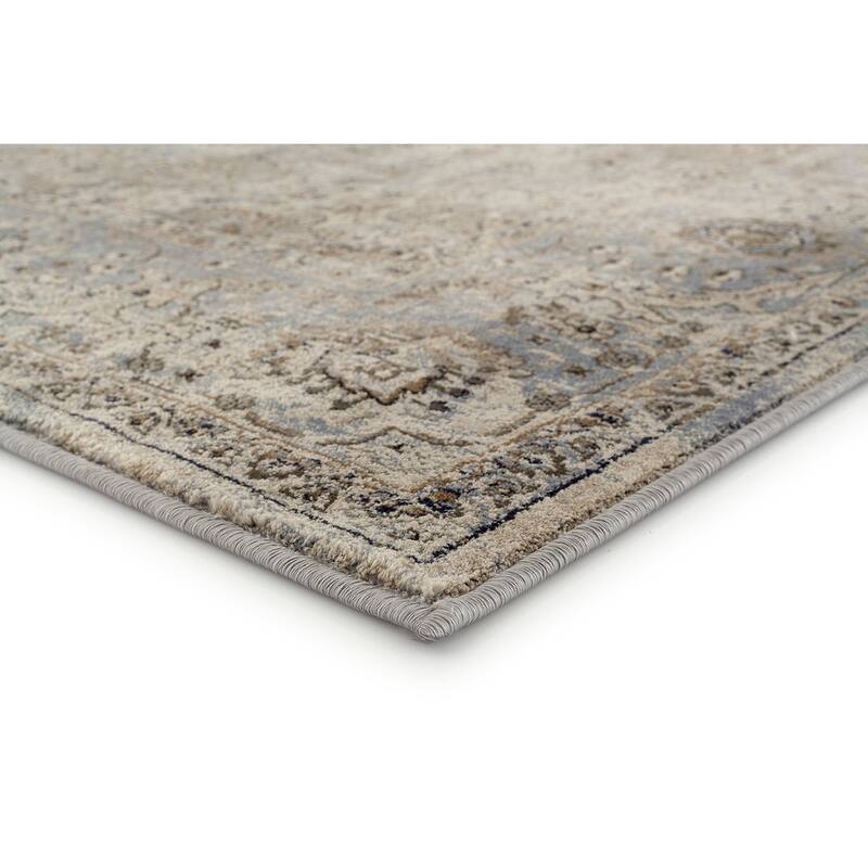 Antique Collection Traditional Area Rug