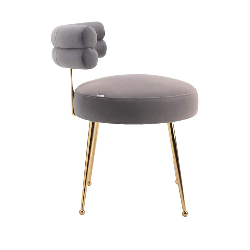 Velvet Upholstered Tubulous Side Dining Chair with Golden Legs(set of 2)