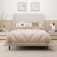 Option Beige Chenille