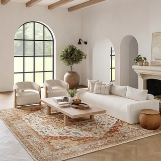 Nourison Petra Indoor only Persian Area Rug