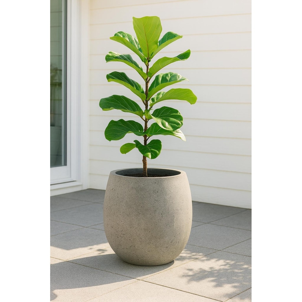 Grigio Balloon Planter 16.5"W x 16.5"H Fiberglass Stone Resin, Lightweight, Frost & UV Resistant Indoor Outdoor