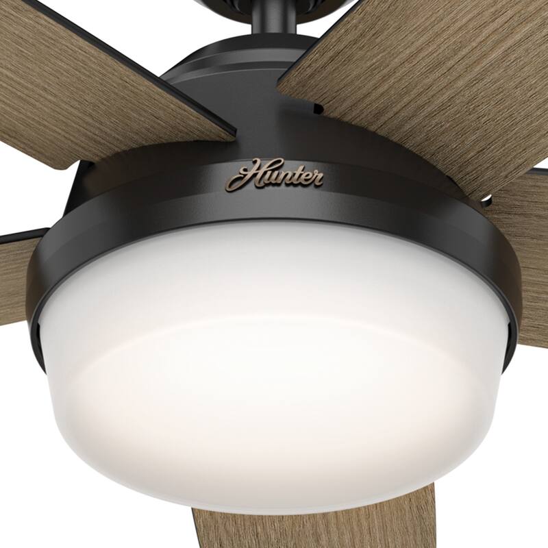 Hunter 52" Avia Ceiling Fan with LED Light and Handheld Remote