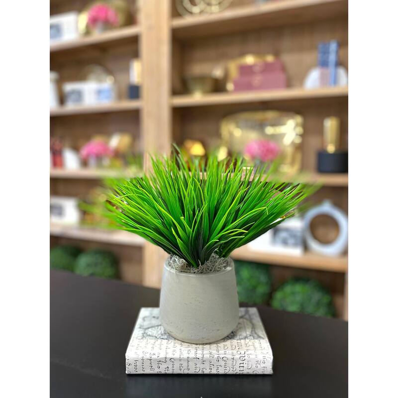 Vanilla Grass Arranged in a Fiberstone Pot - Green