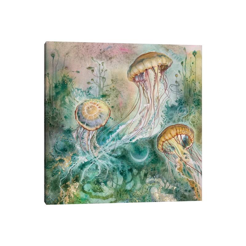 iCanvas "Jellyfish" by Stephanie Law Canvas Print