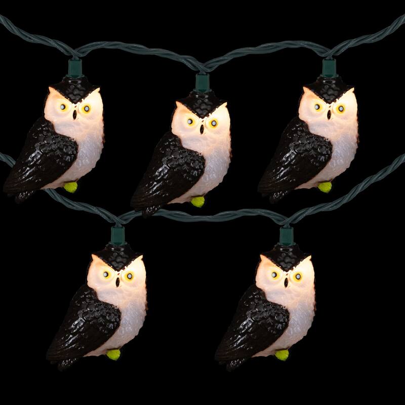 Owl Indoor Outdoor Patio Light Set - 6' - Green Wire - 10ct