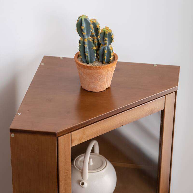 Wooden Cabinet with Doors and Shelves