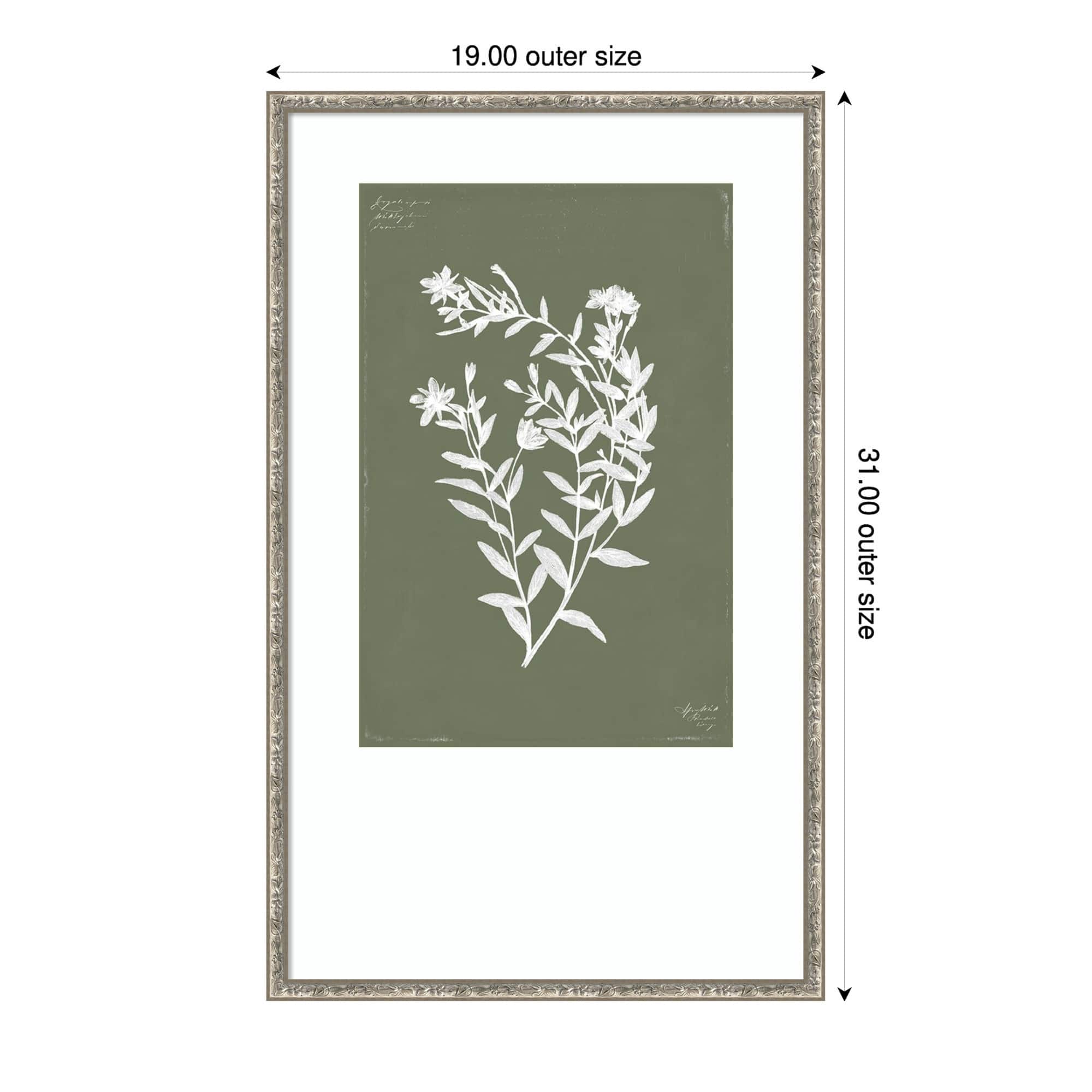 Option Belvedere Silver