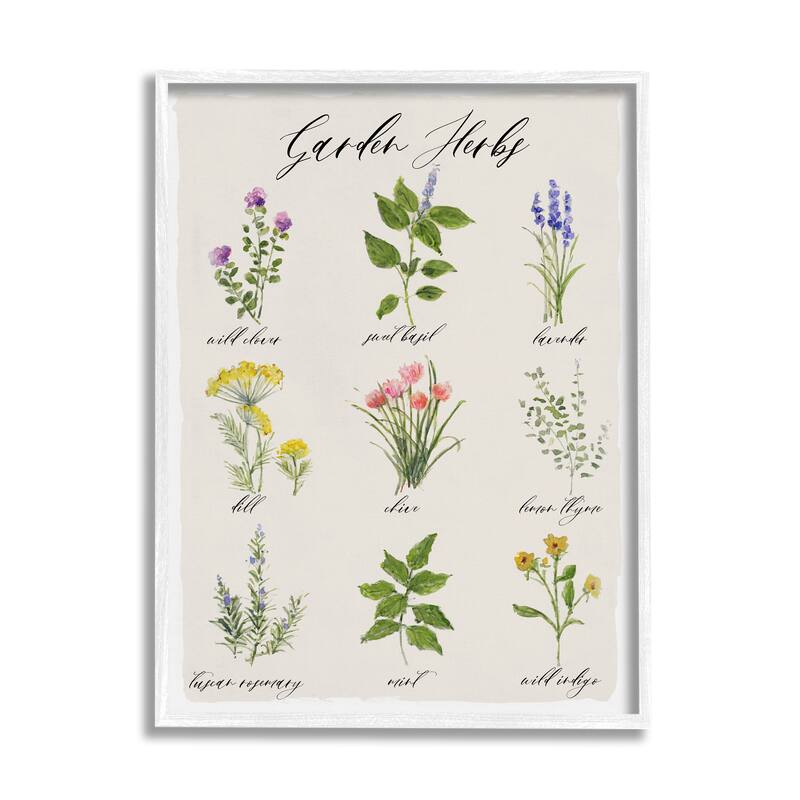 Stupell Garden Herb Illustrated Chart Natural Kitchen Seasoning Framed Wall Art - White