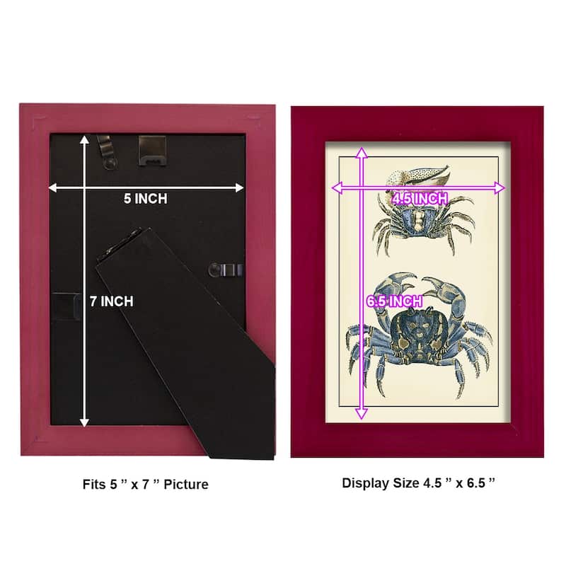 Antique Blue Crabs II -Framed Print w/glass-Cherry Red