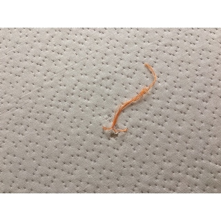 Aloe Vera 8-inch Medium Support Memory Foam Mattress