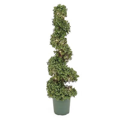 National Tree Company 44-Inch Prelit Artificial Boxwood Spiral Topiary Tree - Green - 44 in