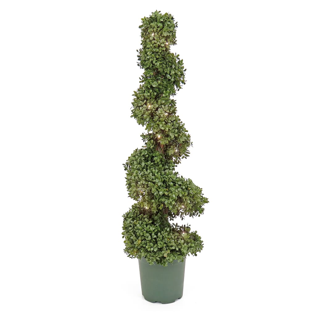 National Tree Company 44-Inch Prelit Artificial Boxwood Spiral Topiary Tree - Green - 44 in
