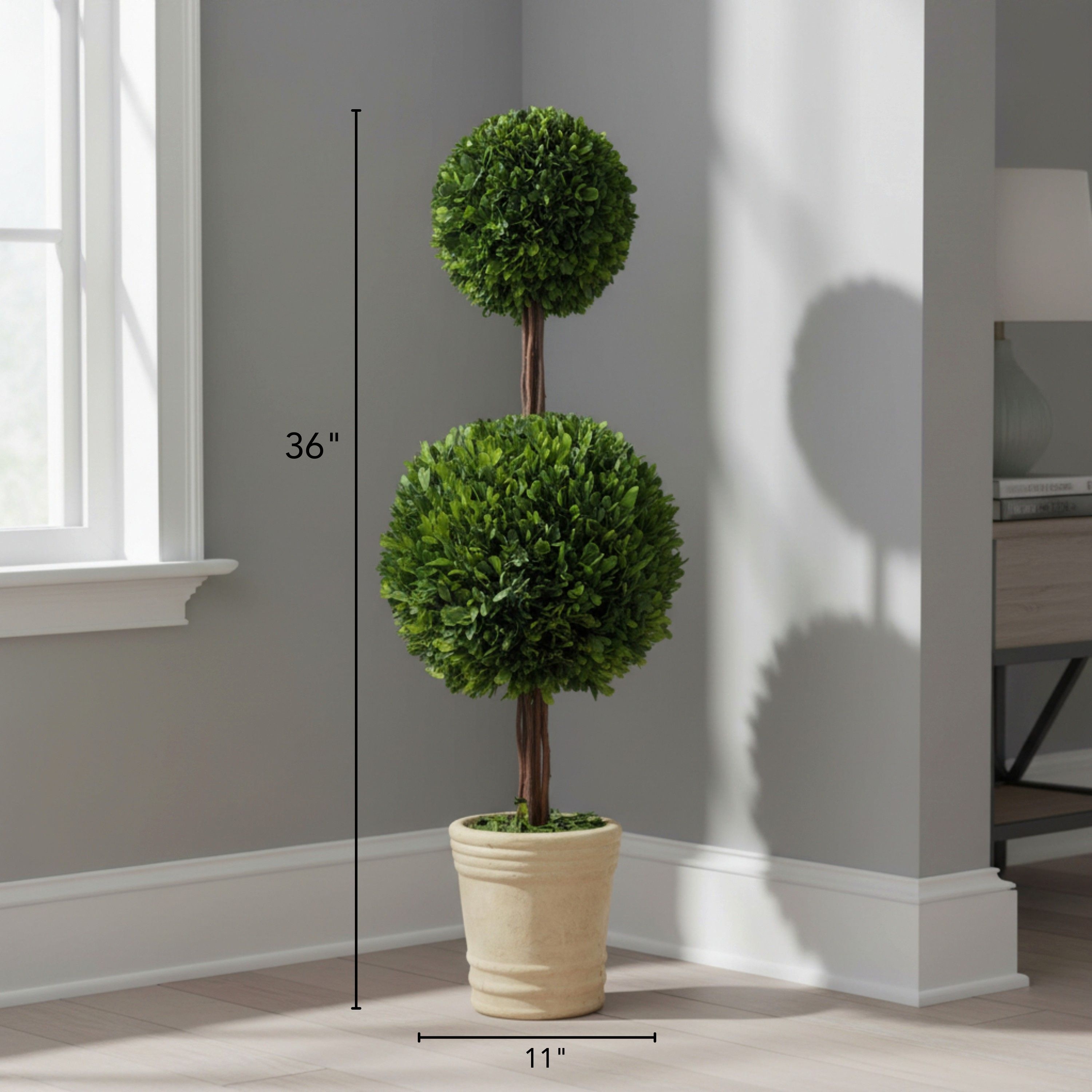 Evergreen 36" Handcrafted Preserved Boxwood Double Ball Topiary in Terracotta Pot