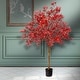preview thumbnail 1 of 2, Potted Japanese Maple Tree 4'