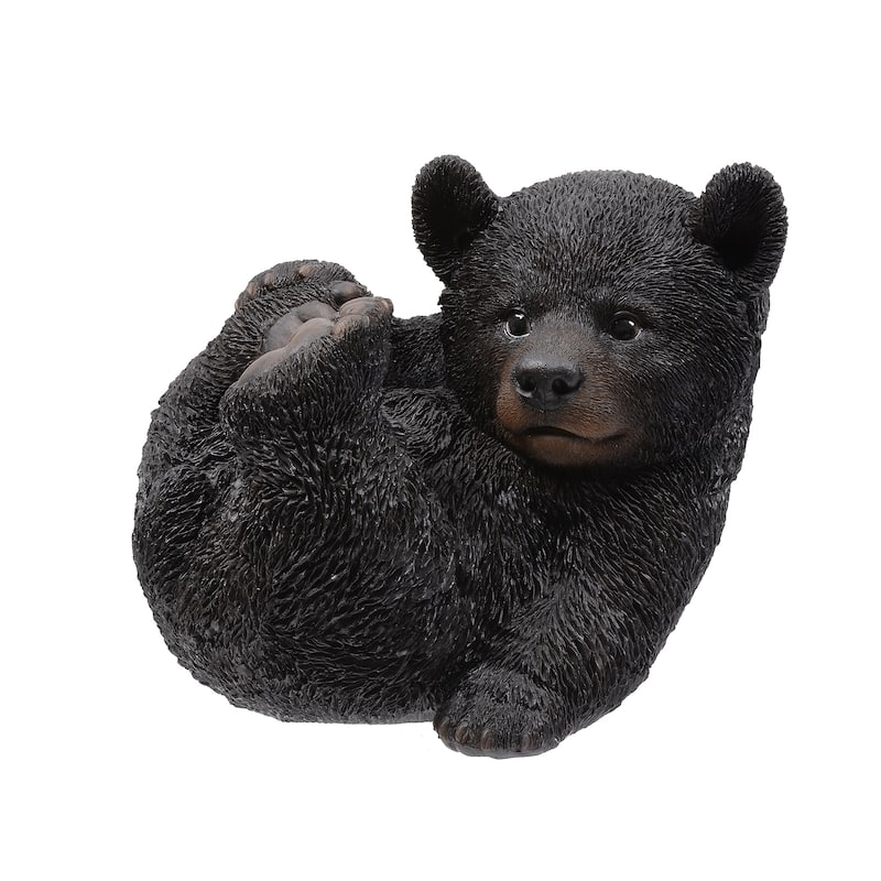 Baby Black Bear Lying