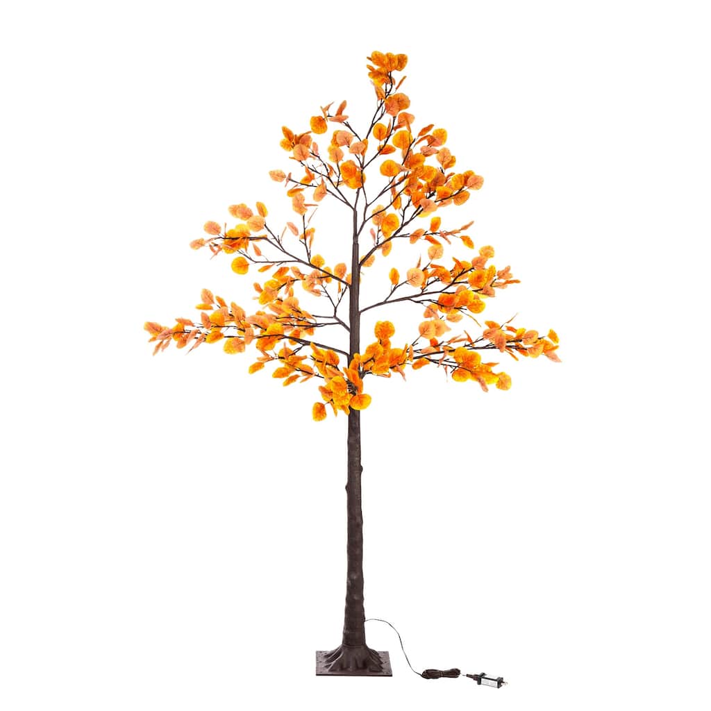 Fall Eucalyptus Tree 6'