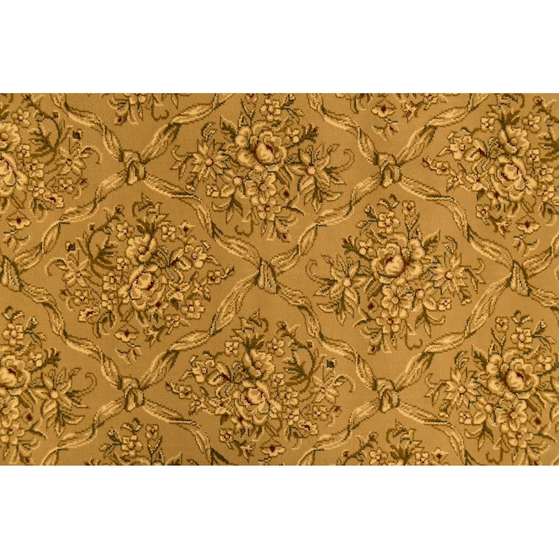 Dynamic Rugs Legacy Traditional Area Rug