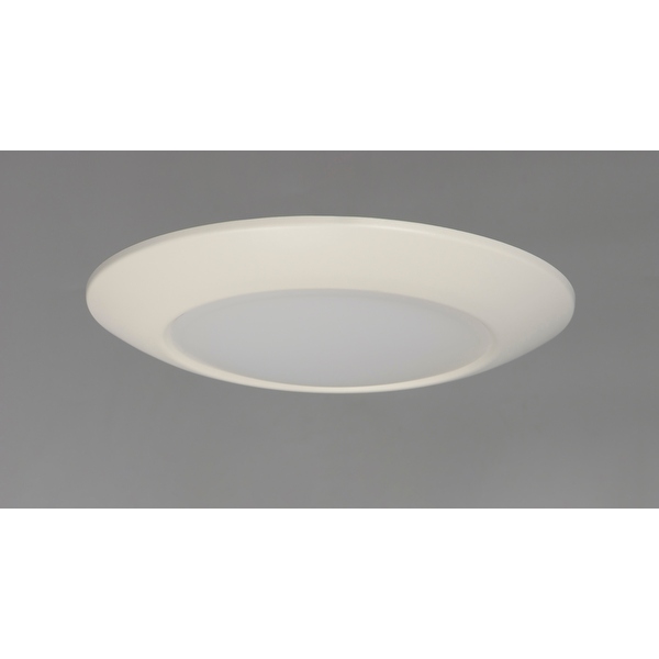 Maxim diverse led 2025