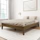 Option Walnut