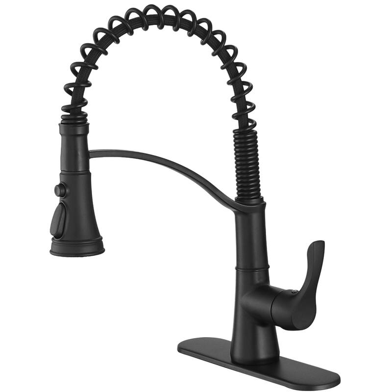 WIZ Single Handle Pull-Down Sprayer Kitchen Faucet Bundle Glass Rinser - Black