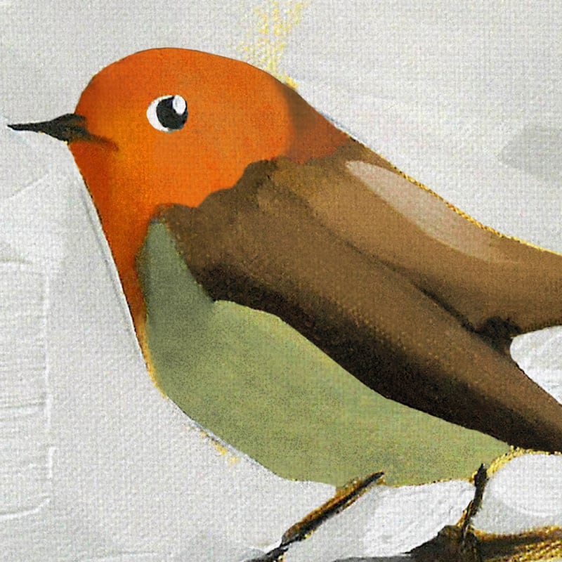 Bluebird No. 21, Chickadee No. 143, Coming in for a Landing, Robin on a Wire by Angela Moulton Canvas Art Prints