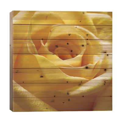 Yellow Rose Print On Wood by PhotoINC Studio - Multi-Color