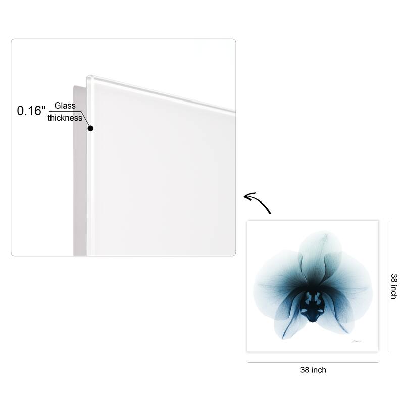 "Glacial Orchid" Frameless Free Floating Tempered Glass Panel Graphic Wall Art