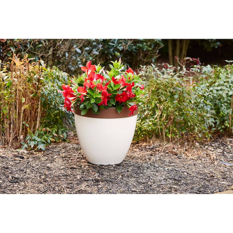 Southern Patio Hornsby Resin Planter