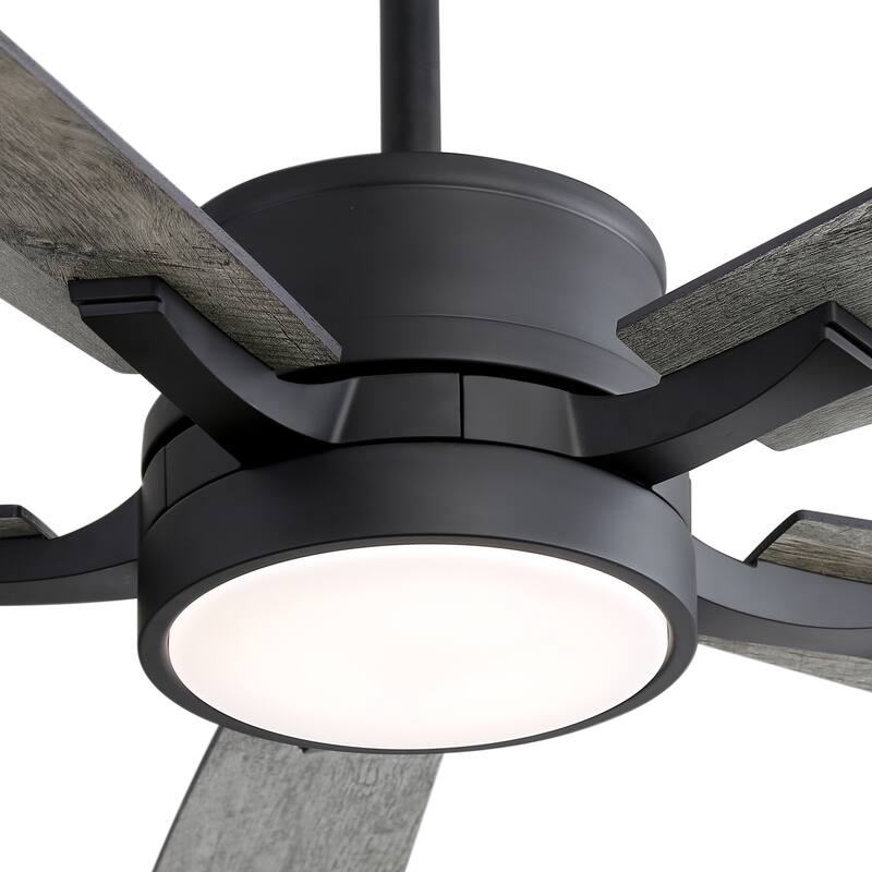 65 Inch Black LED Ceiling Fan with Light and Remote(5-Blade)