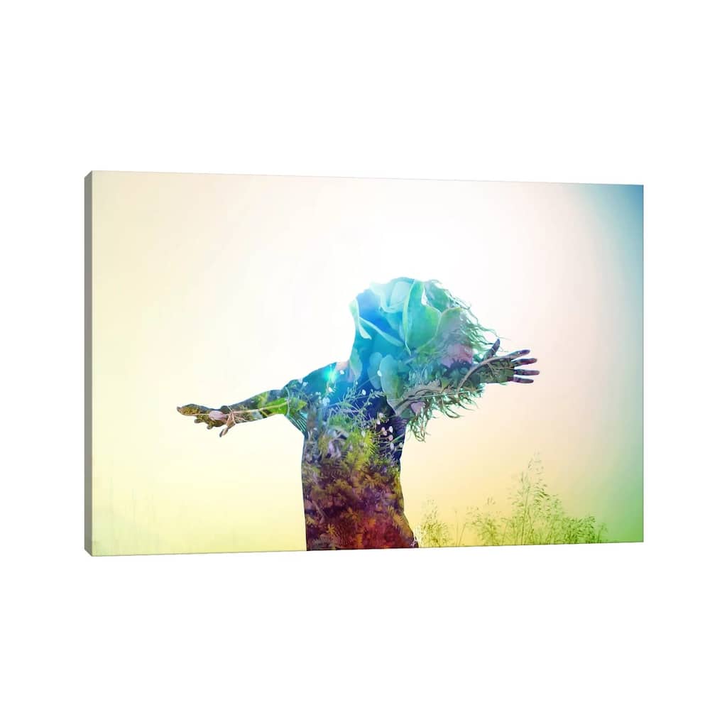 iCanvas "Release" by Mario Sanchez Nevado Canvas Print