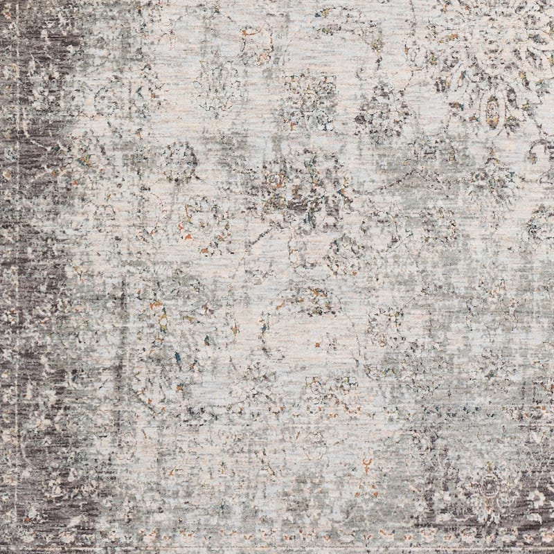 Harlan Distressed Traditional Grey Area Rug - 8'10" x 13'1"