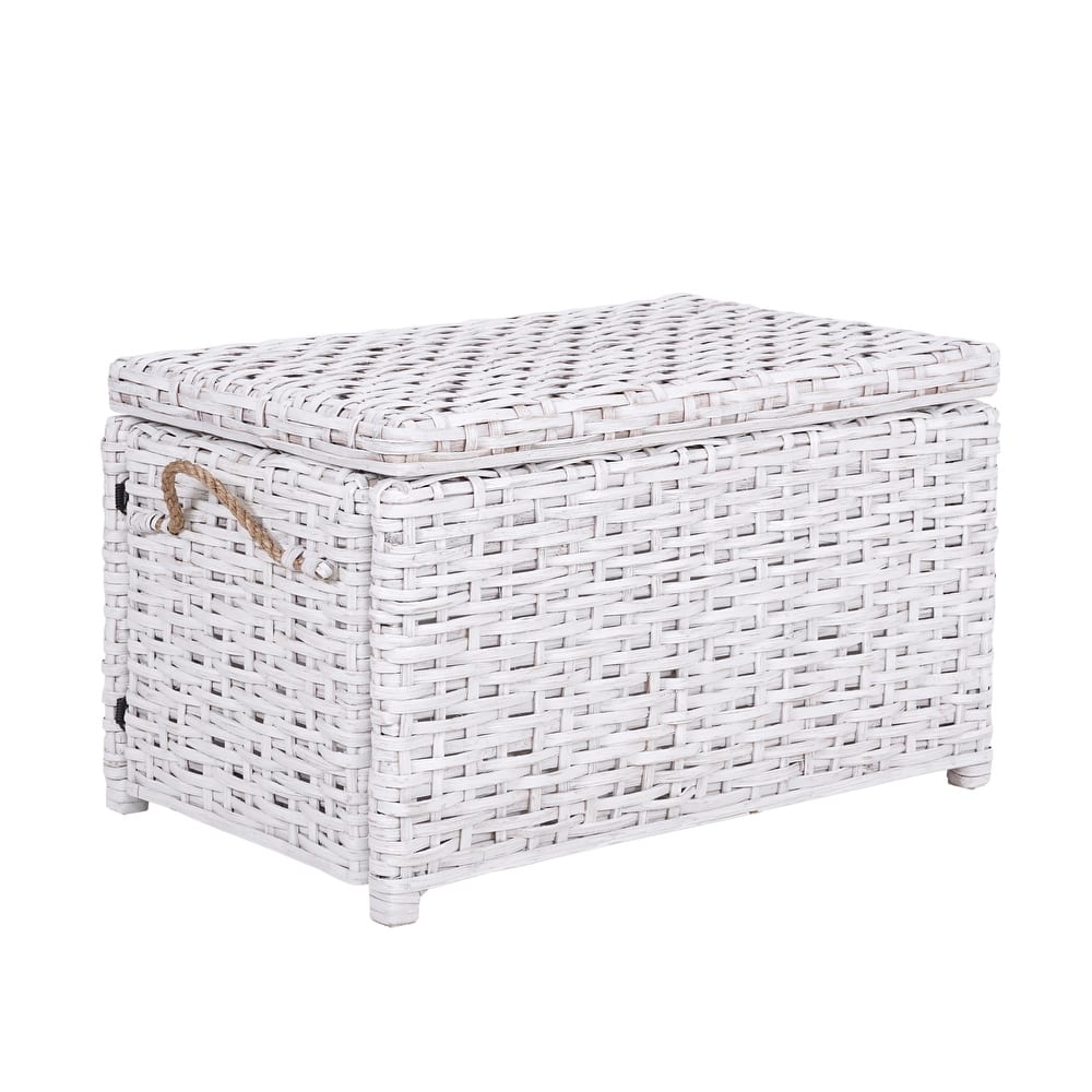 happimess Jacob 30" Wicker Storage Trunk