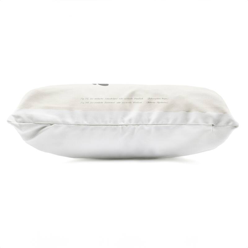 Stupell Vintage Whale Study Diagrams Printed Outdoor Throw Pillow Design by Phillipa Katz