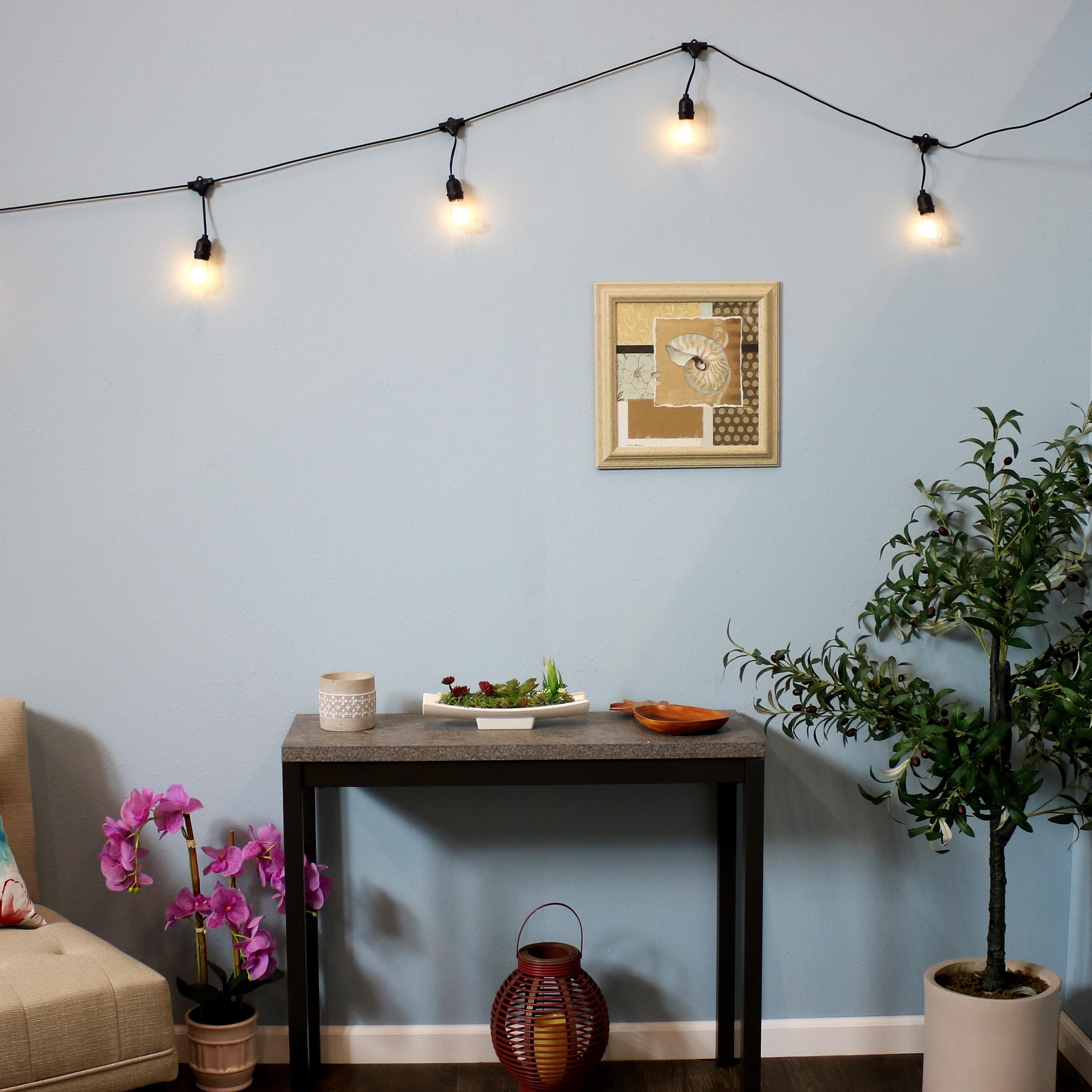 Shop Sunnydaze Indoor Outdoor Led String Lights Edison Bulbs 23