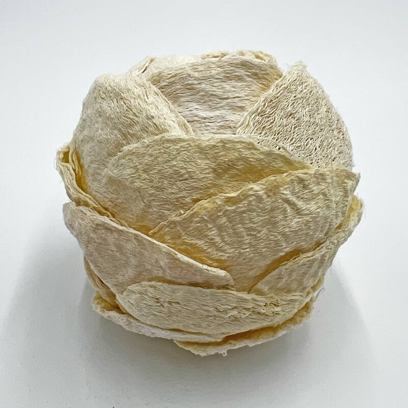 Preserved Decorative Conifer and Pinecone Topiary Balls - White - Set of 4