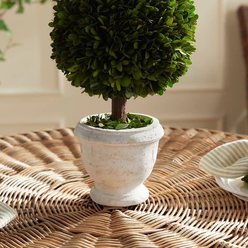 Boxwood Single 9" Ball Topiary In Pot - Green