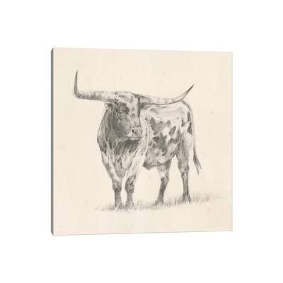 iCanvas "Longhorn Steer Sketch II" by Ethan Harper Canvas Print