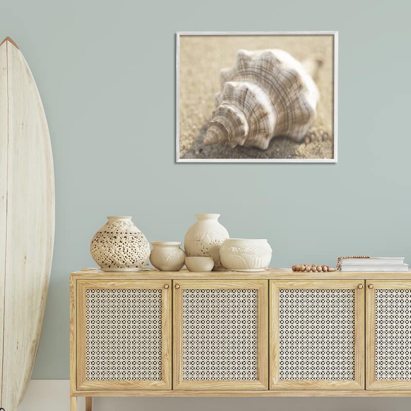 Stupell Neutral Tone Conch Shell Framed Giclee Art Design By Dora Rotondella