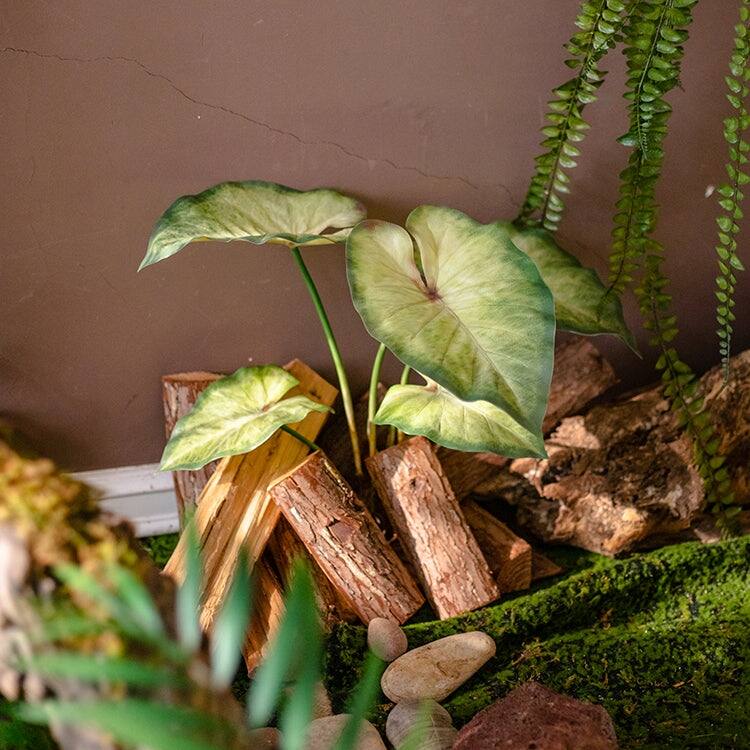 RusticReach Faux Rooted Bunch Alocasia 19" Tall - Light Green