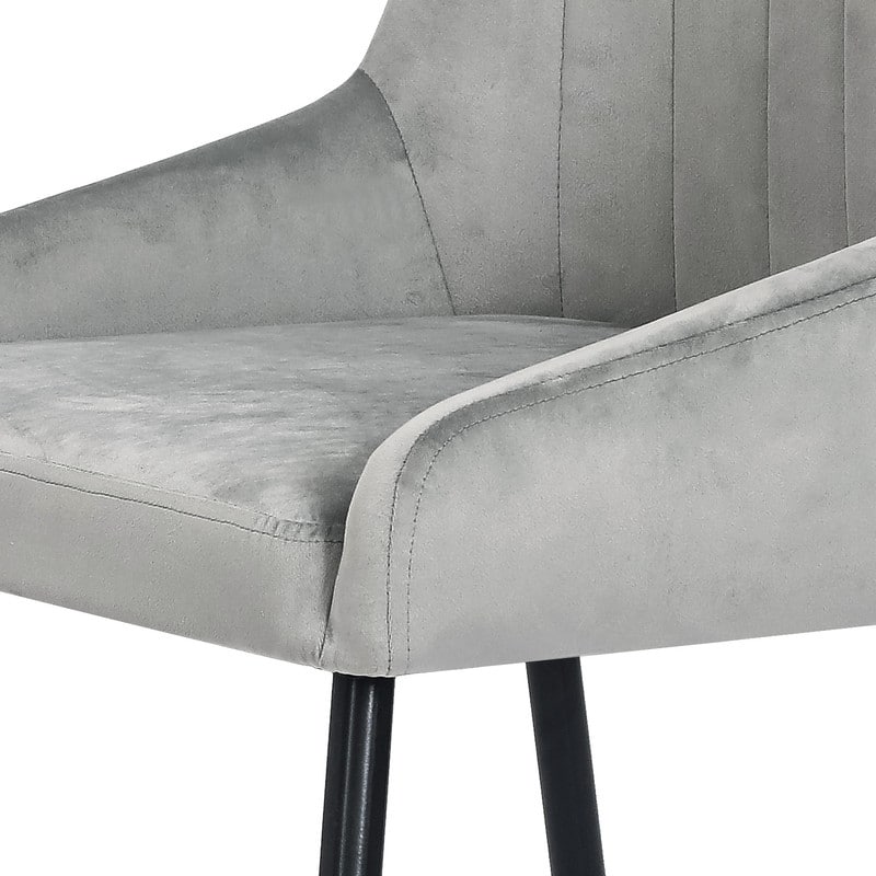 Adeco Set of 2 Accent Dining Chairs, Modern Elegant Velvet Chair