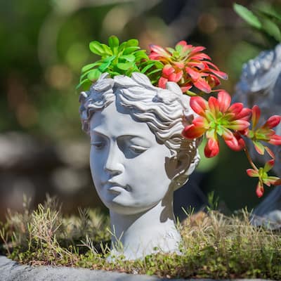 D7" x 11"Greek Style Cement Head Planter-Indoor Outdoor Home Garden Decor