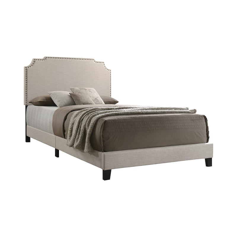 Upholstered Bed with Nailhead Trim in Beige - Queen