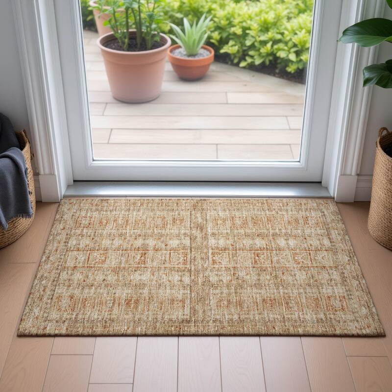 Machine Washable Indoor/Outdoor Global Traditional Chantille Rug