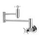 Option Polished Chrome